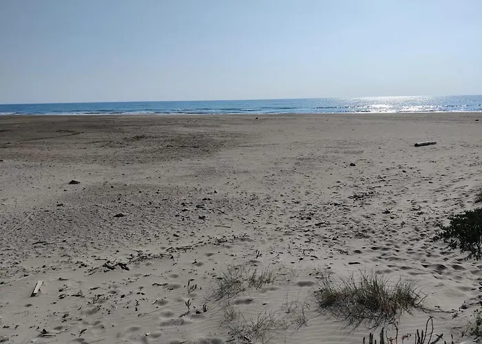 T2 Avec Piscine Idealement Situe Gruissan