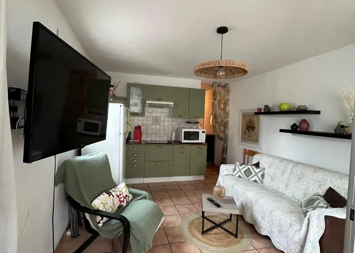 T2 Avec Piscine Idealement Situe Gruissan